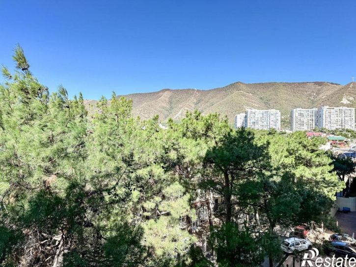 2-комн квартира улица Мира, 44 лит6,  д. 44 лит6