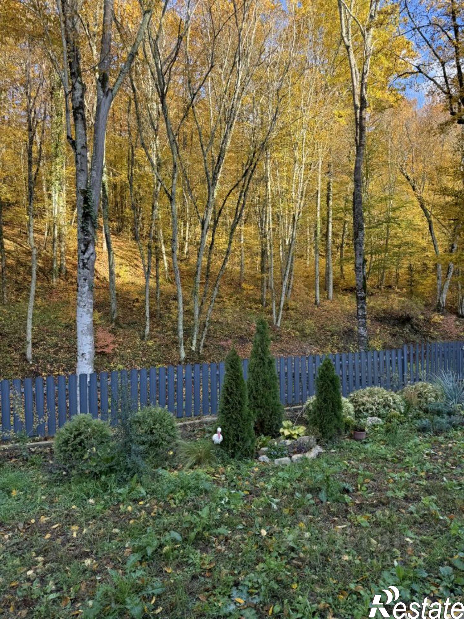 Сдать дачу, дом, коттедж за 85 000 рублей на городской округ Геленджик