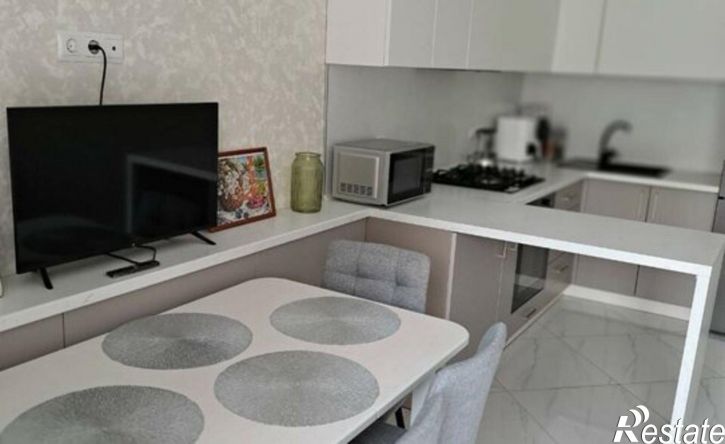1-комн квартира Курортная улица, 14Б к2,  д. 14Б к2