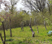 земля 4 сот городской округ Геленджик