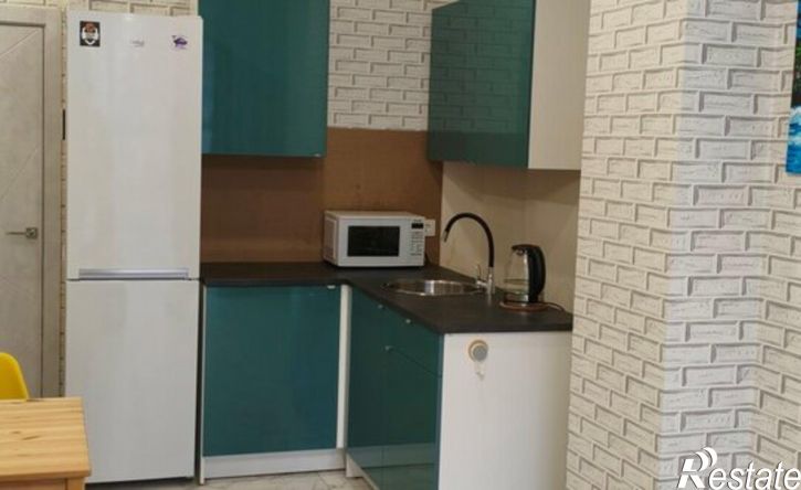 1-комн квартира ул Савицкого, 1,  д. 1